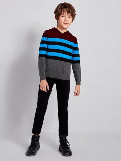 SHEIN Boys Striped Colorblock Hooded Sweater - Pink Shop