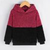 SHEIN Toddler Boys Two Tone Teddy Hoodie