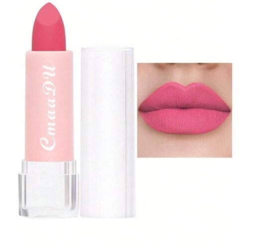 SHEIN Matte Long-lasting Easy Coloring Lipstick, Easy To Apply Lipstick