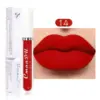 SHEIN Waterproof Long-lasting Matte Lip Gloss 14 Non-stick cup Lip Cream