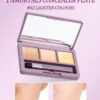 SHEIN Aurmel Grape Concealer Palette, 3 Colors Cover Blemishes, Dark Circles, Spots, Acne Scars And Contouring