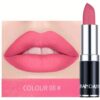 SHEIN HANDAIYAN Matte Mist Permanent Moisturizing Lipstick #08